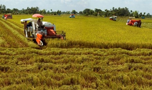 Chuyển mục đích sử dụng đất tại 2 tỉnh Bắc Ninh và Long An